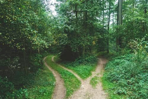 2. Path Realignment Guide 1.